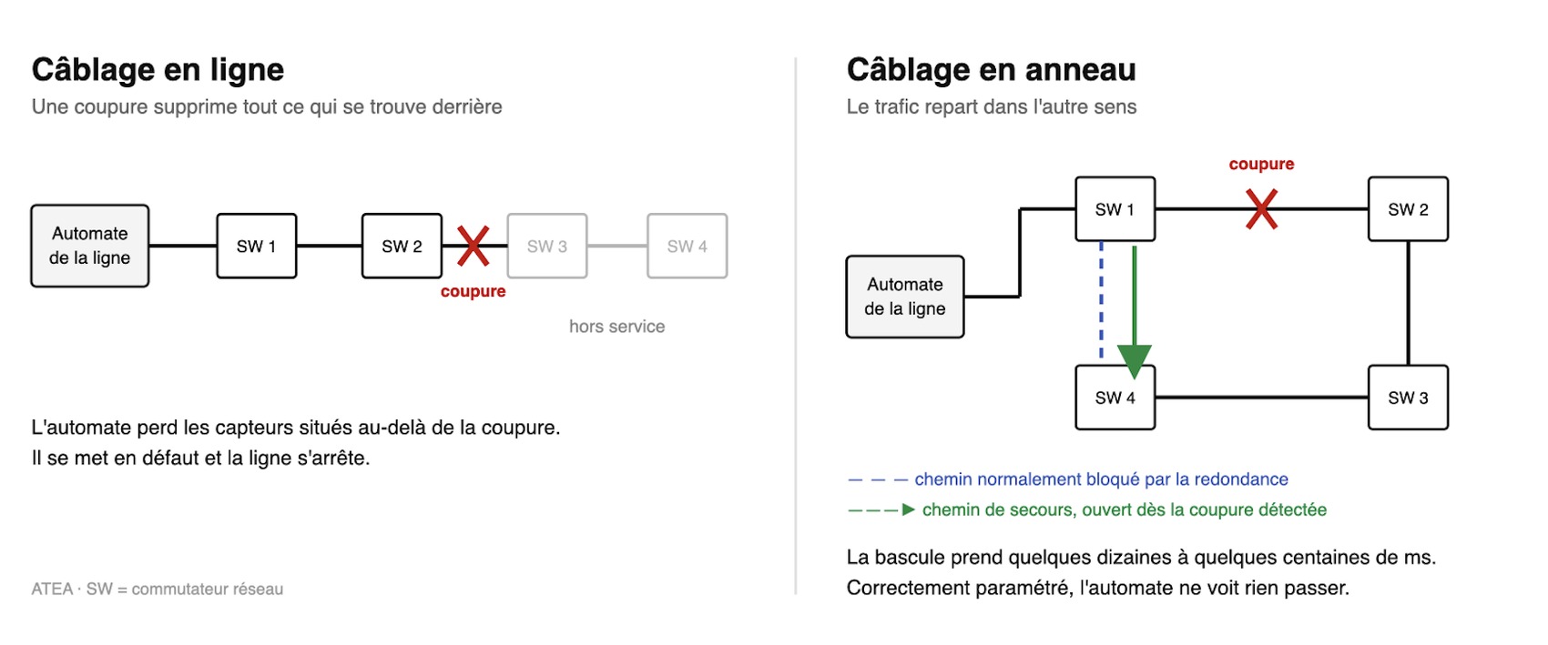 Schéma comparant un câblage en ligne et un câblage en anneau